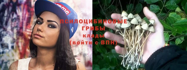 скорость Белокуриха